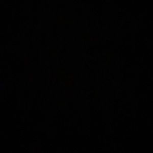 This item is sold out